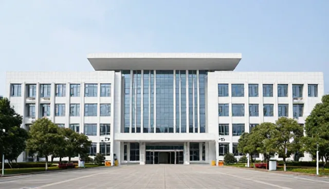 应用分析中技术咨询方案的常见问题与应对策略